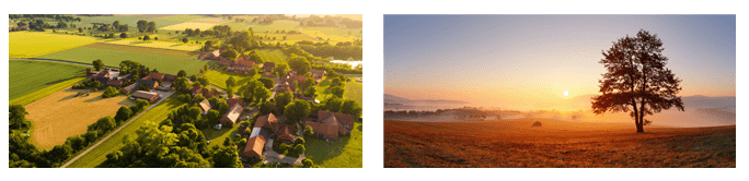 Zwei-Landschaftsbilder-Dorf-im-Gruenen-und-Feld-mit-Baum-im-Sonnenuntergang