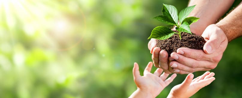 Erwachsene-Haende-reichen-Kinderhaenden-Erde-mit-Pflanze-in-der-Natur