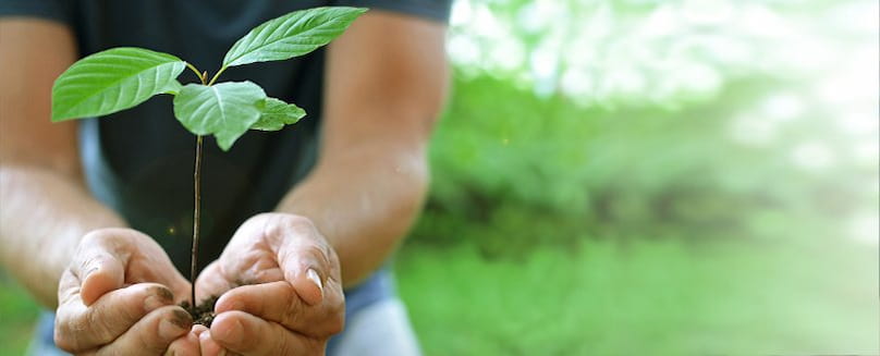 2-hands-holding-a-plant-to-symbolize-environmental-protection